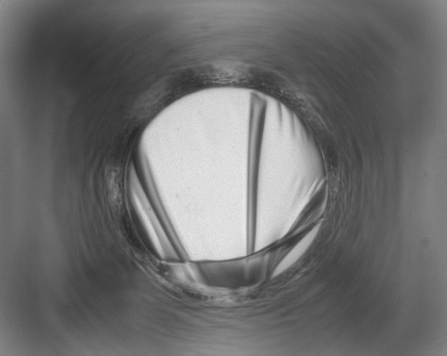 X0000082200131200702170028