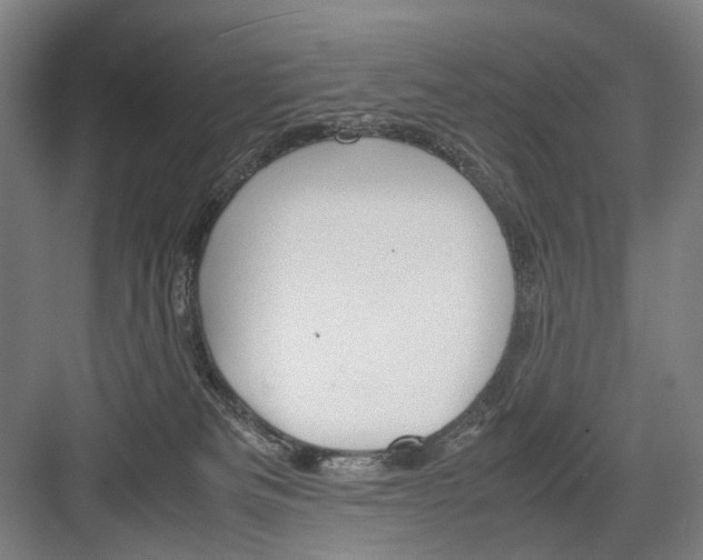 X0000082200133200702170028