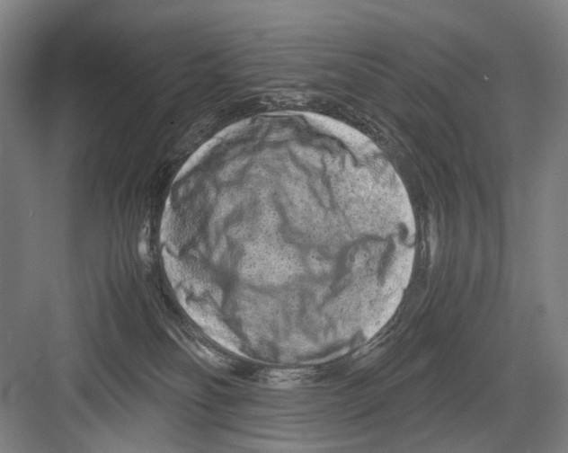 X0000082200134200702170028