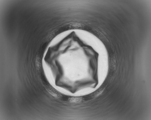 X0000082200135200702170028