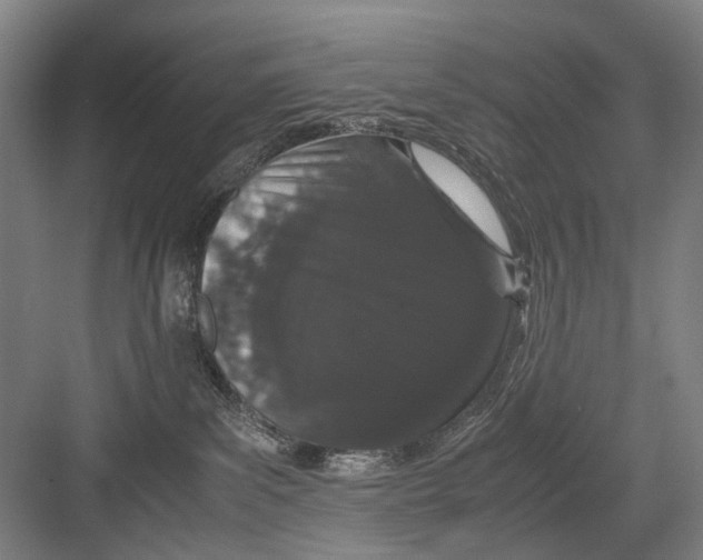 X0000082200139200702170028