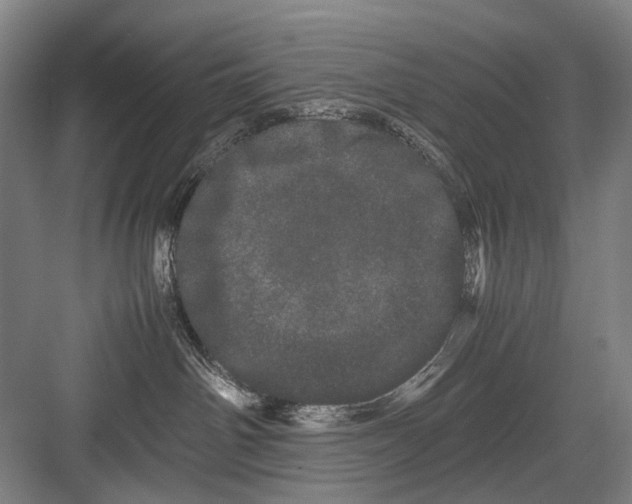 X0000082200142200702170028