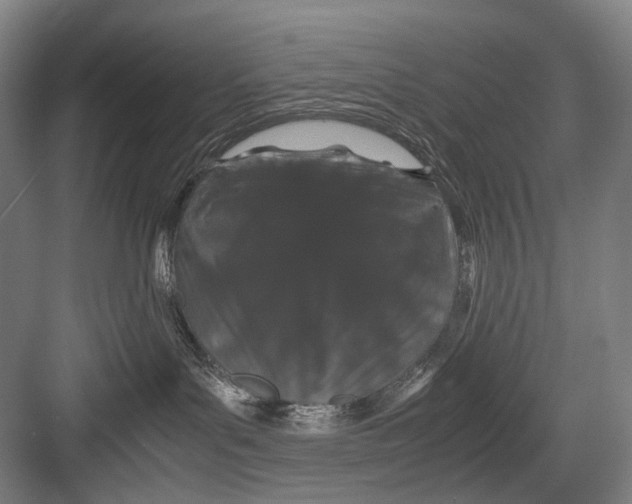 X0000082200143200702170028