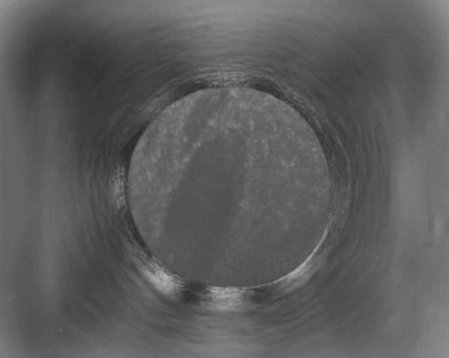 X0000082200144200702170028