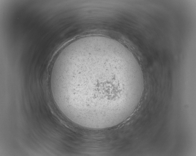 X0000082200146200702170027