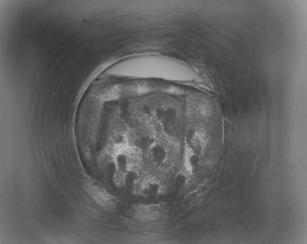 X0000082200147200702170027