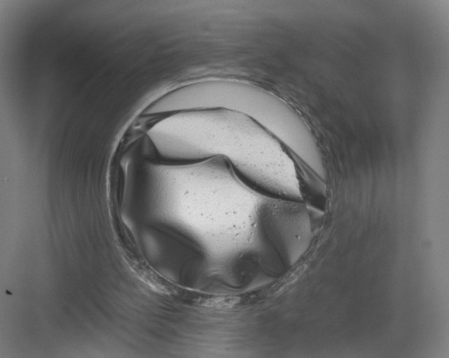 X0000082200148200702170027