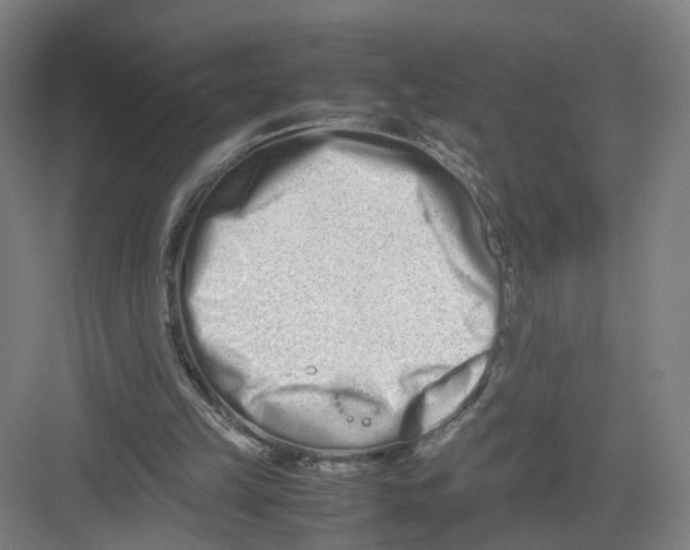 X0000082200149200702170027