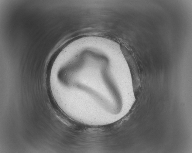 X0000082200150200702170027