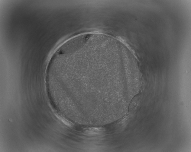 X0000082200151200702170027