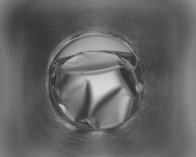 X0000082200152200702170027