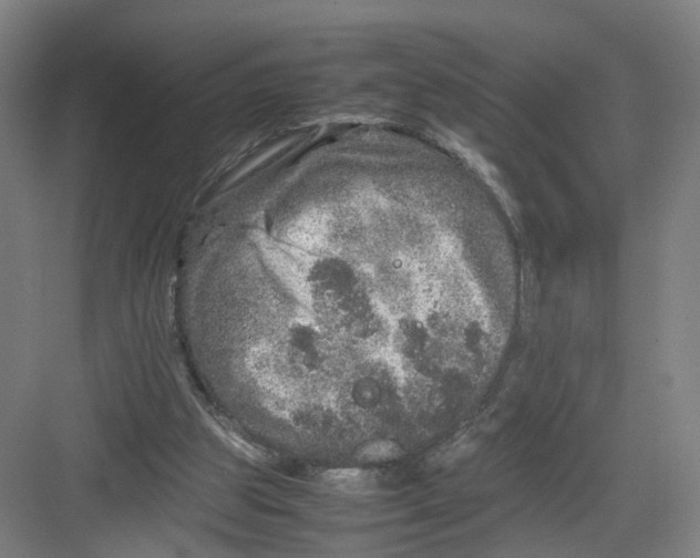 X0000082200153200702170027