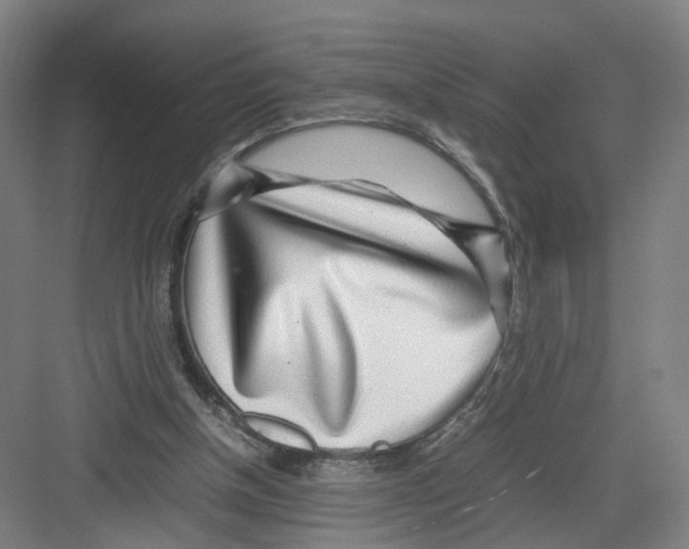 X0000082200154200702170027