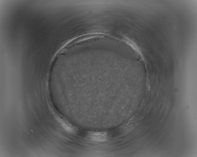 X0000082200155200702170027