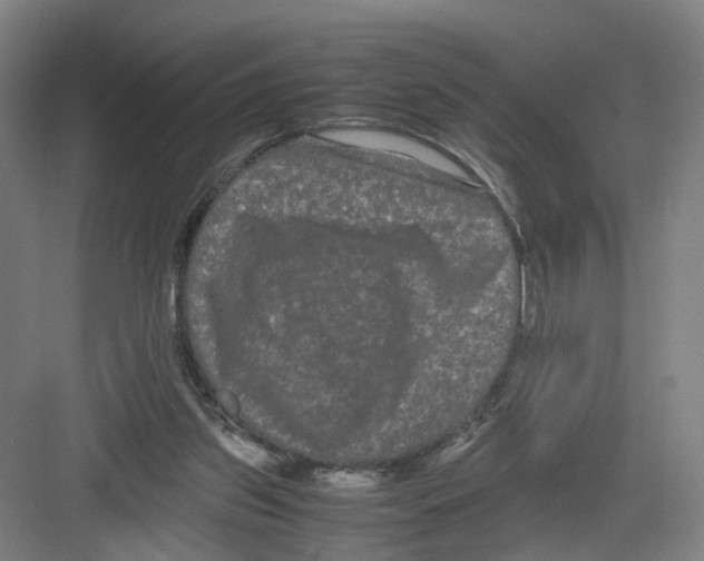 X0000082200157200702170027