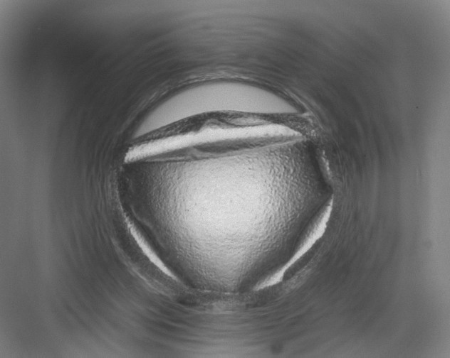 X0000082200158200702170027