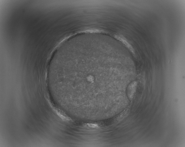 X0000082200159200702170027