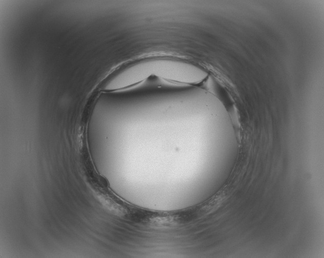 X0000082200160200702170027