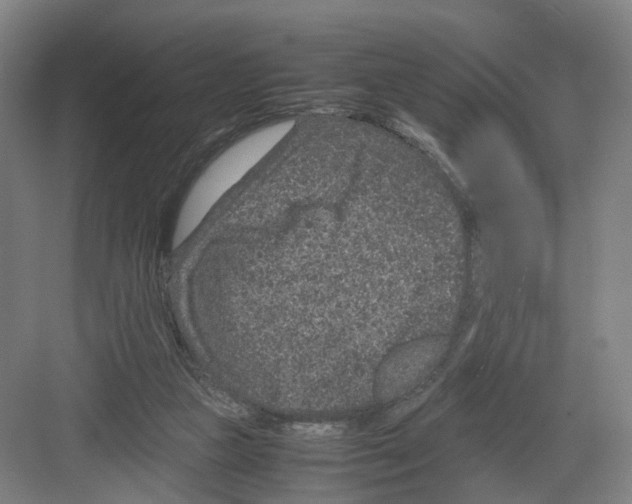 X0000082200161200702170027