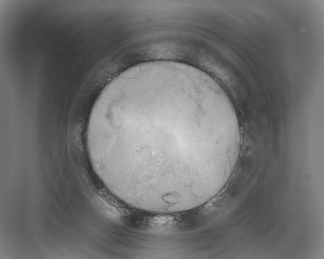 X0000082200162200702170027