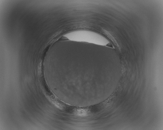 X0000082200163200702170027