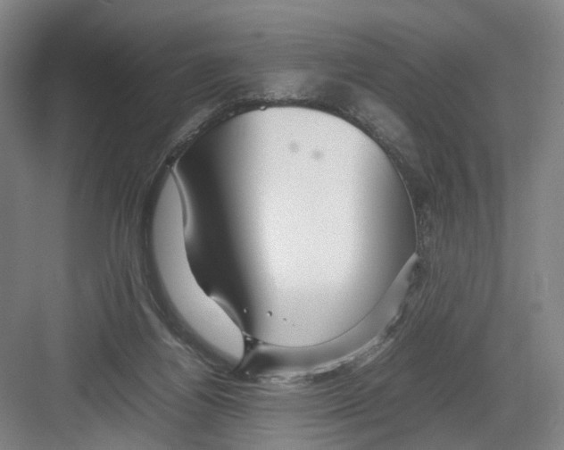 X0000082200164200702170027