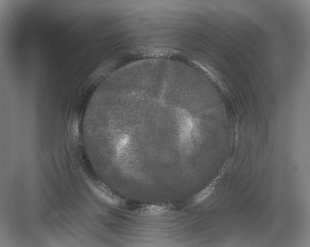 X0000082200166200702170027