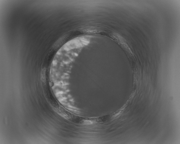 X0000082200167200702170027