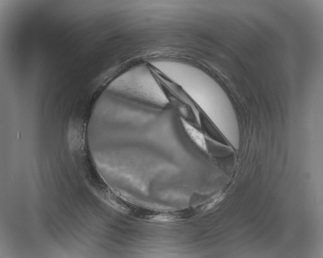 X0000082200168200702170027