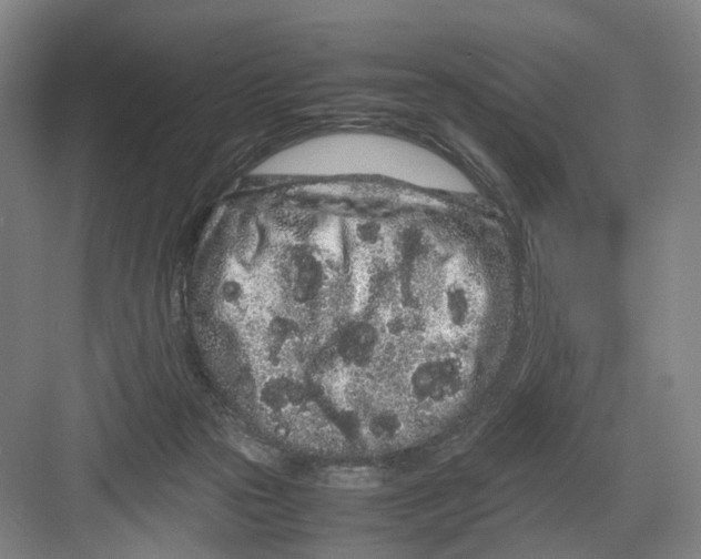 X0000082200169200702170027