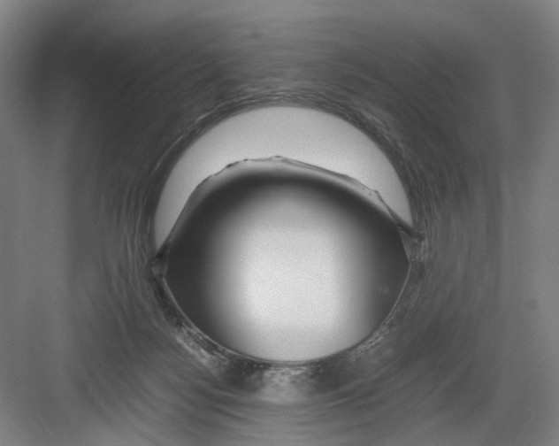 X0000082200172200702170027