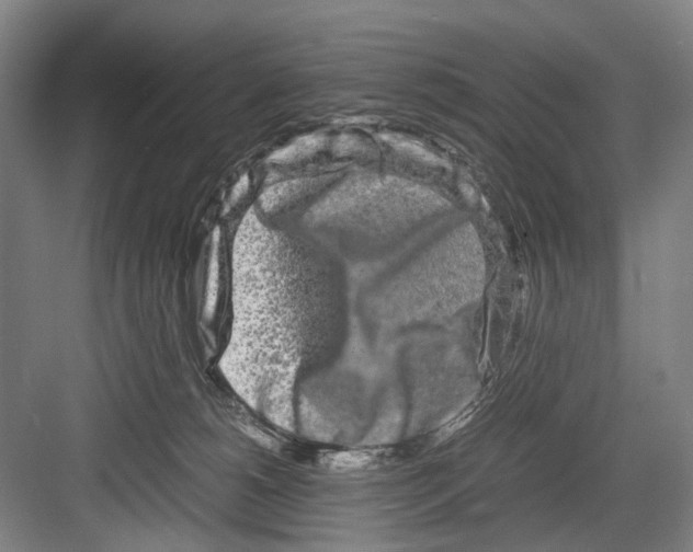 X0000082200180200702170027