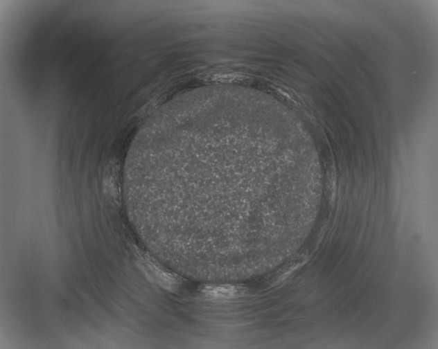 X0000082200181200702170028