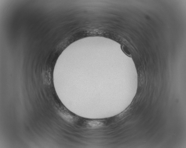 X0000082200183200702170028