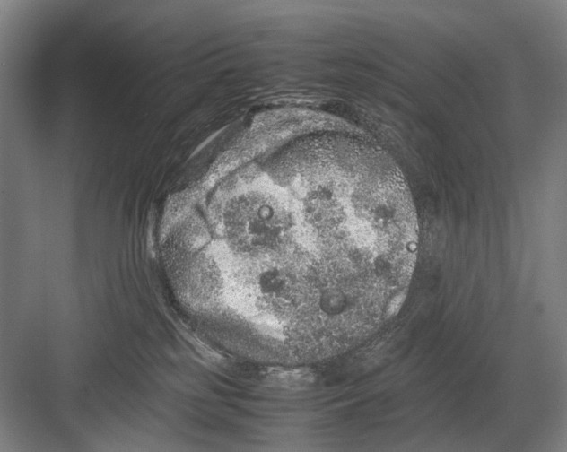 X0000082200185200702170028