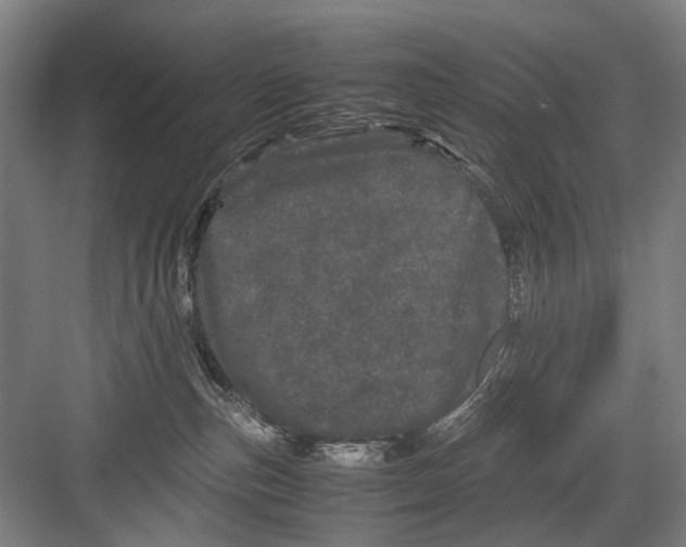 X0000082200187200702170028