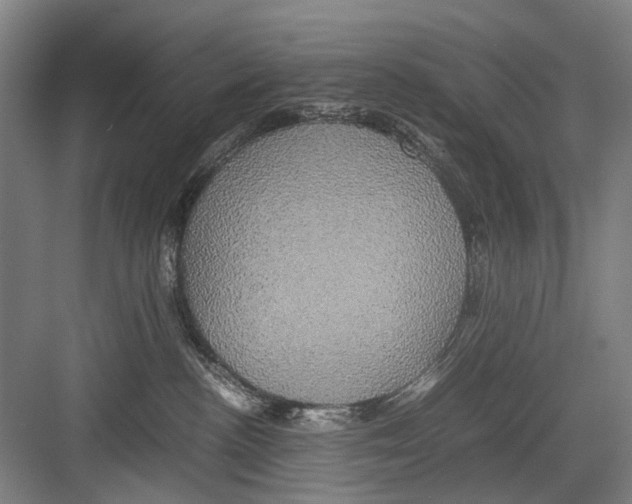 X0000082200188200702170028