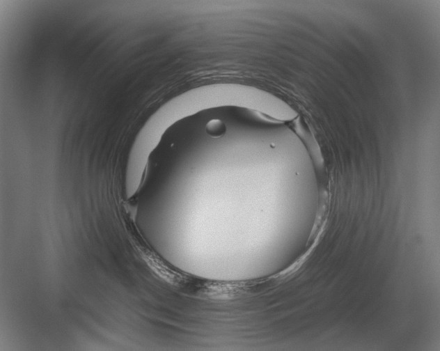 X0000082200190200702170028