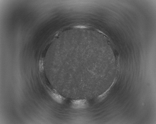 X0000082200191200702170028