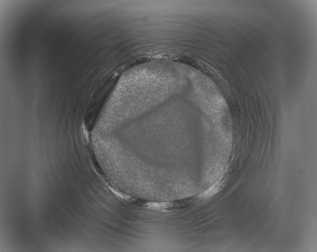 X0000082200192200702170028