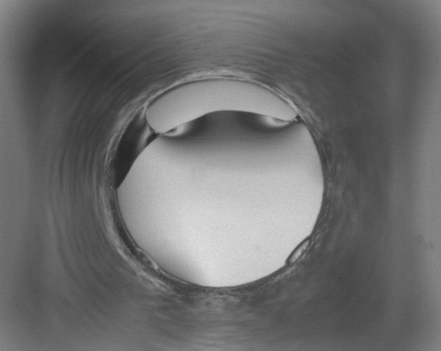 X0000082200193200702170027