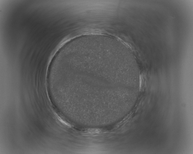 X0000082200195200702170027