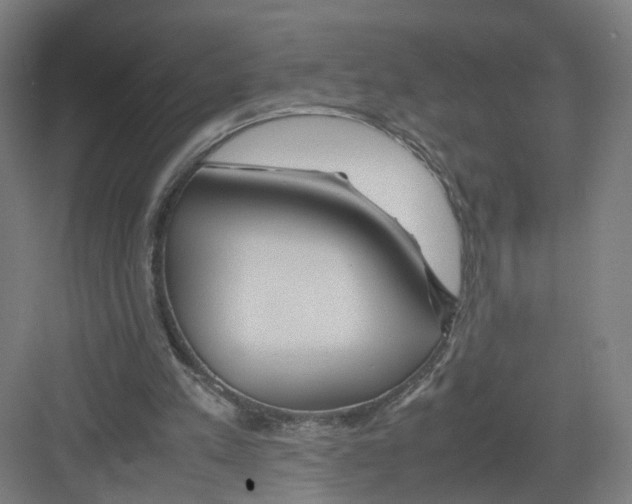 X0000082200197200702170027