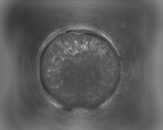 X0000082200199200702170027