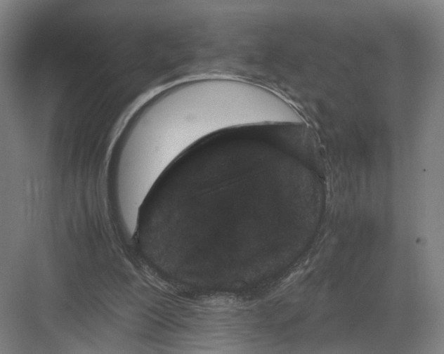 X0000082200200200702170027