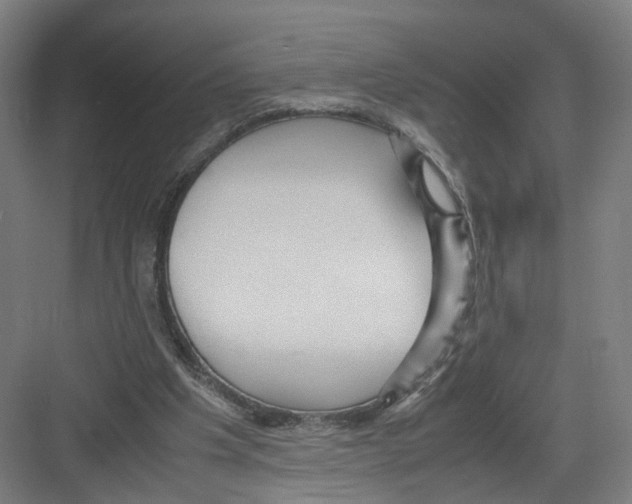 X0000082200201200702170027