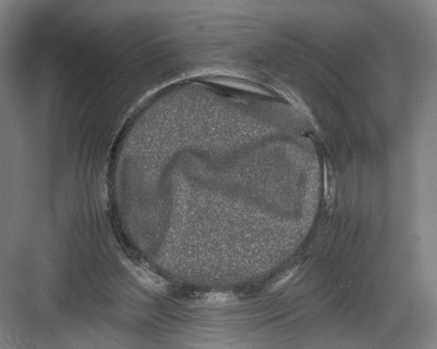 X0000082200204200702170027