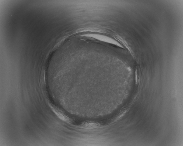 X0000082200205200702170027