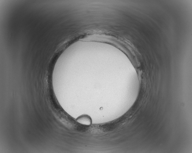 X0000082200207200702170027