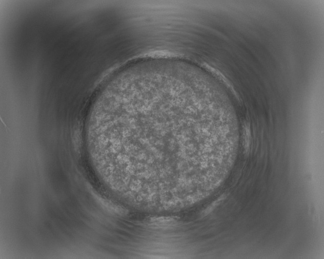 X0000082200208200702170027